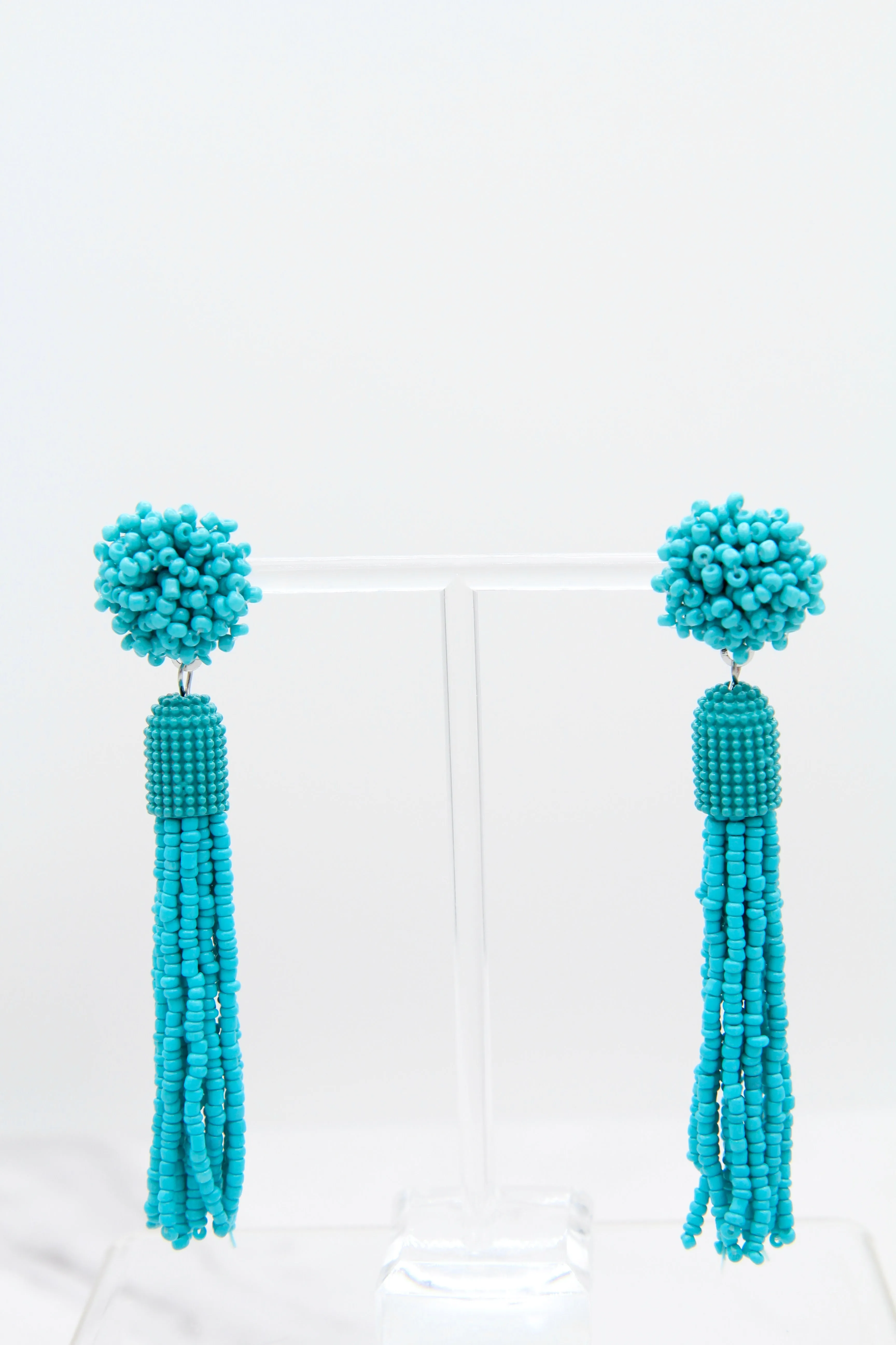 Blue Turquoise Tassel Drop Earrings