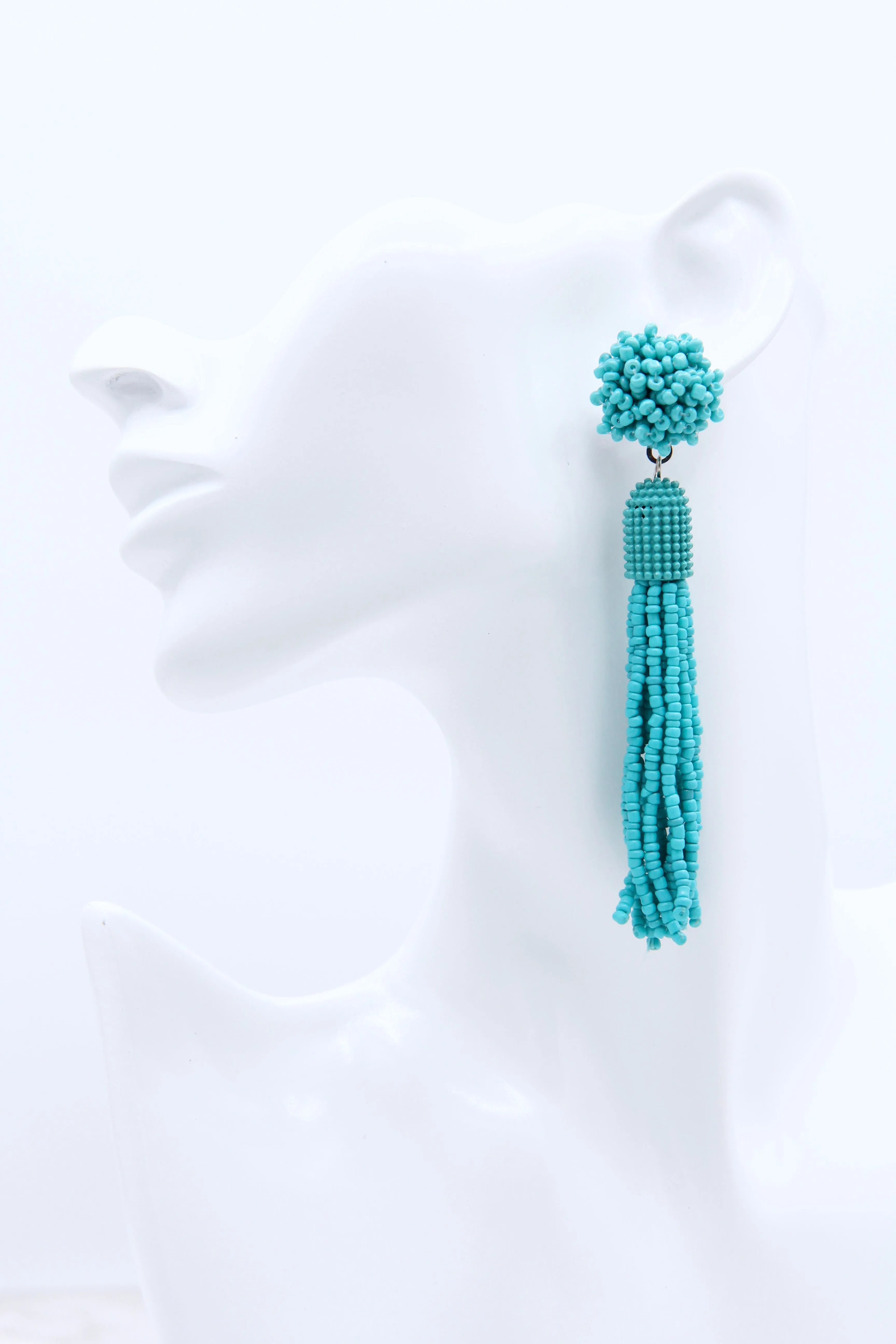 Blue Turquoise Tassel Drop Earrings