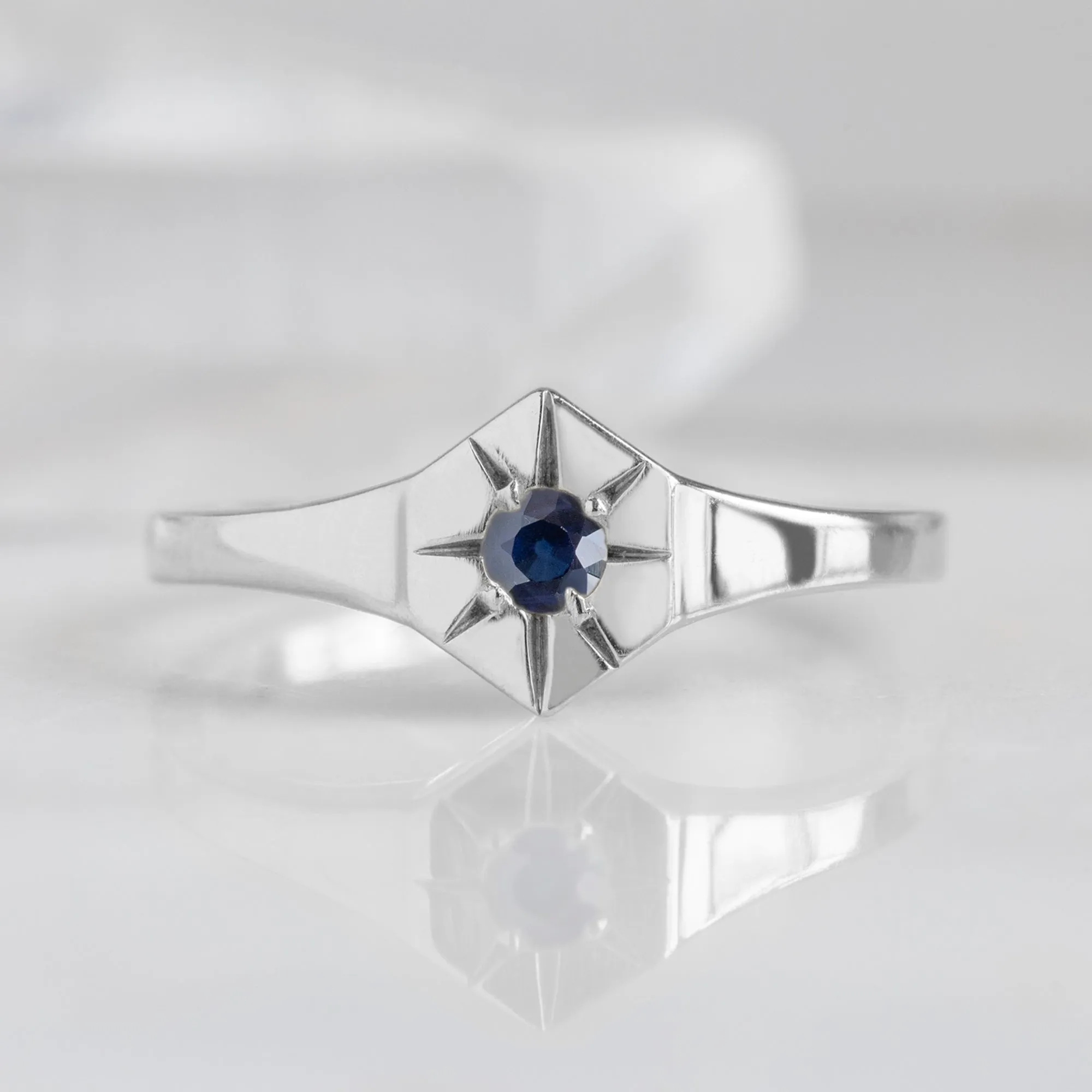 Custom Blue Sapphire Birthstone Signet Ring | 10K White Gold