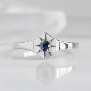 Custom Blue Sapphire Birthstone Signet Ring | 10K White Gold