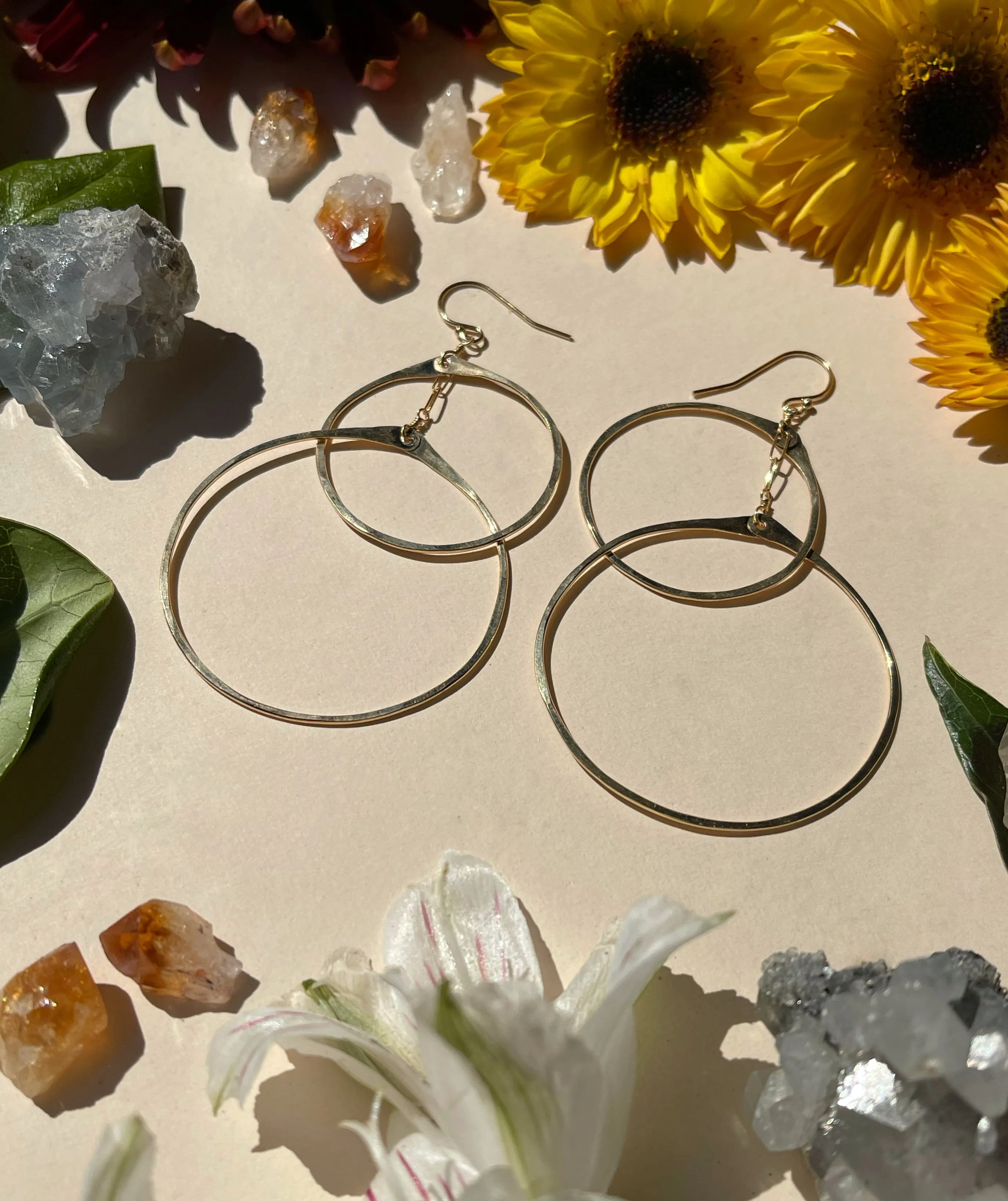 Double Circle Hoops