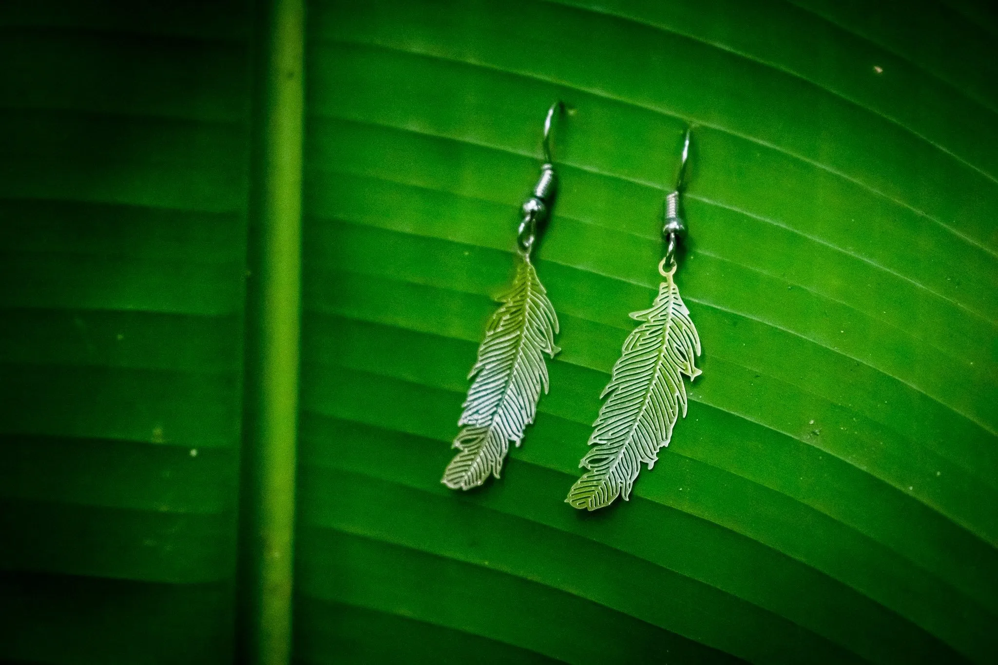 Feather Earrings - White Brass