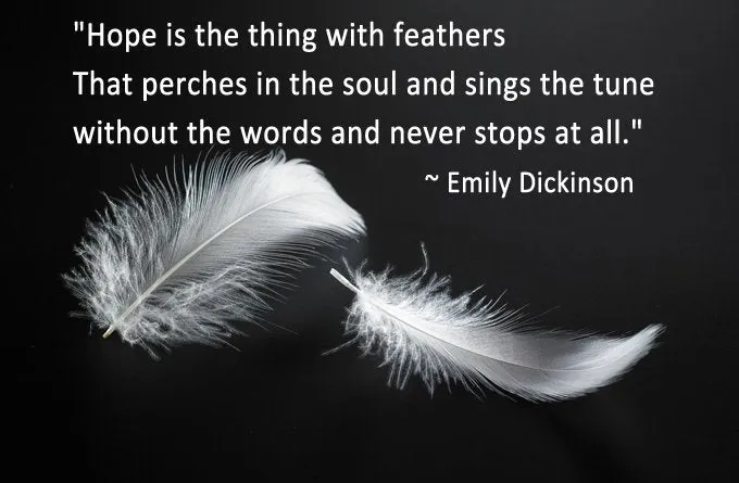 Feather Love Earrings