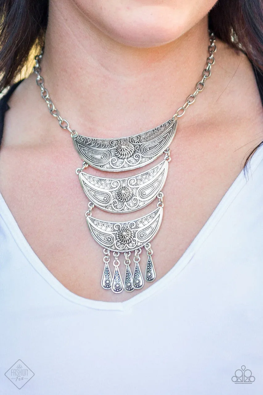 Go STEER Crazy Silver Paparazzi Necklace