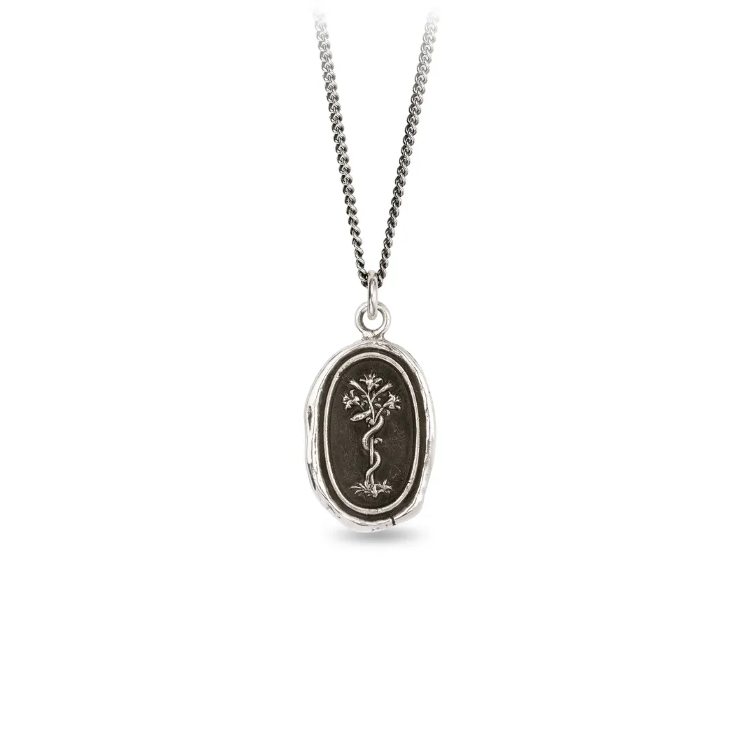 Heal From Within Talisman Necklace