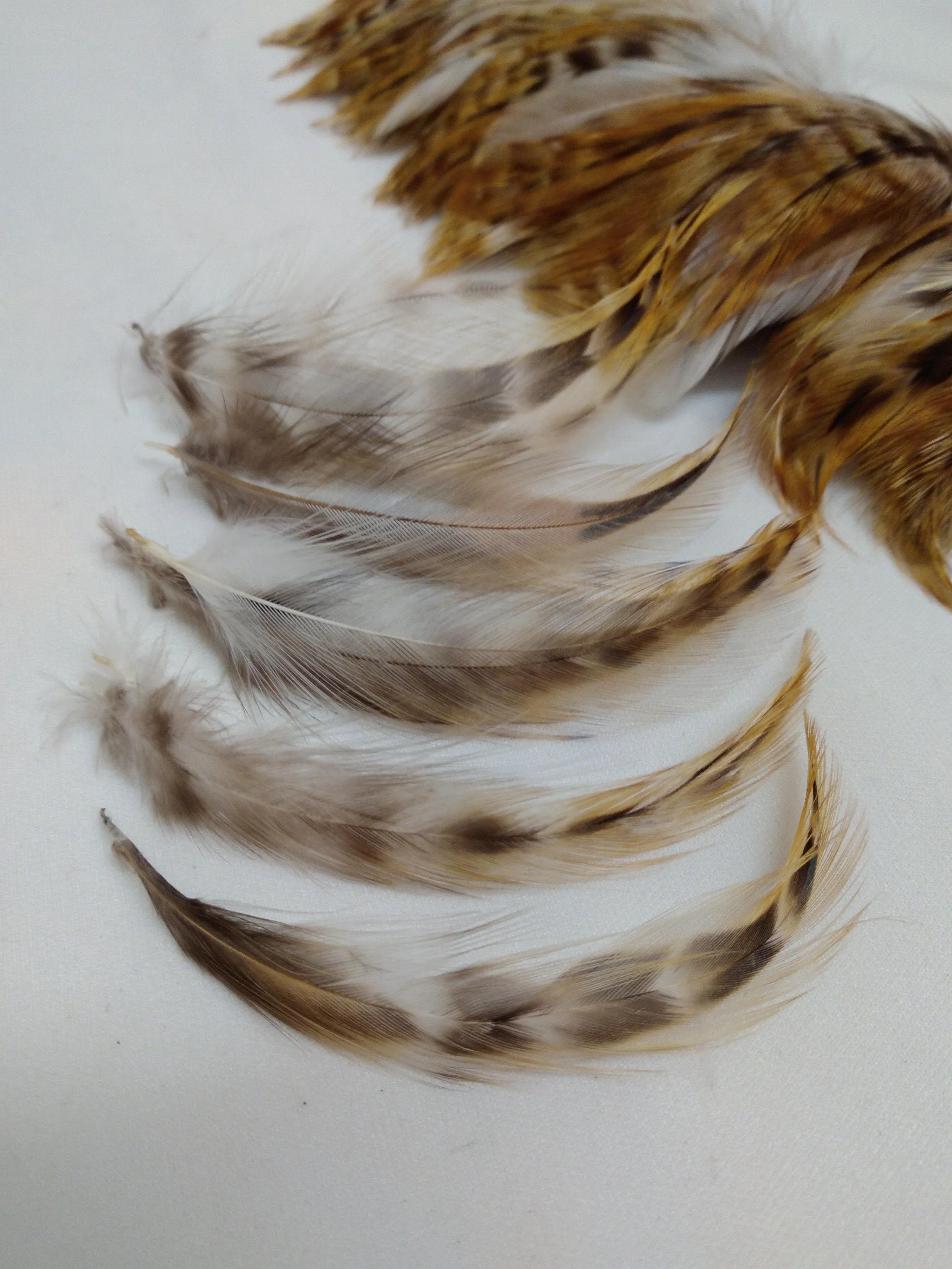 Pheasant Cock Saddle Hackle Feathers Strung/bound for protection and easy application for Dreamcatchers, Earrings, Necklaces, Regalia