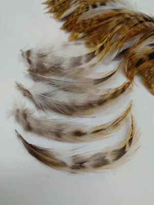 Pheasant Cock Saddle Hackle Feathers Strung/bound for protection and easy application for Dreamcatchers, Earrings, Necklaces, Regalia