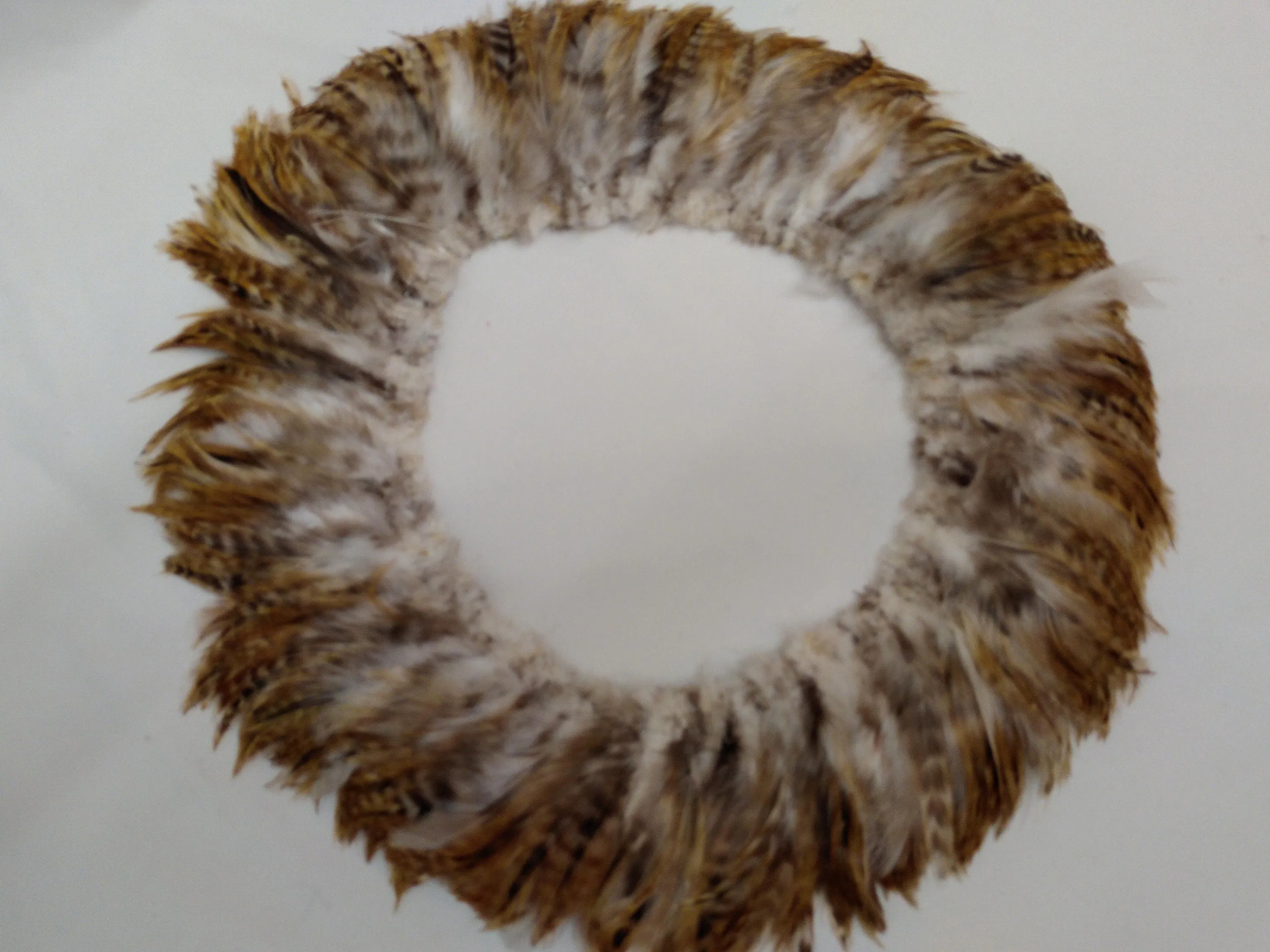 Pheasant Cock Saddle Hackle Feathers Strung/bound for protection and easy application for Dreamcatchers, Earrings, Necklaces, Regalia