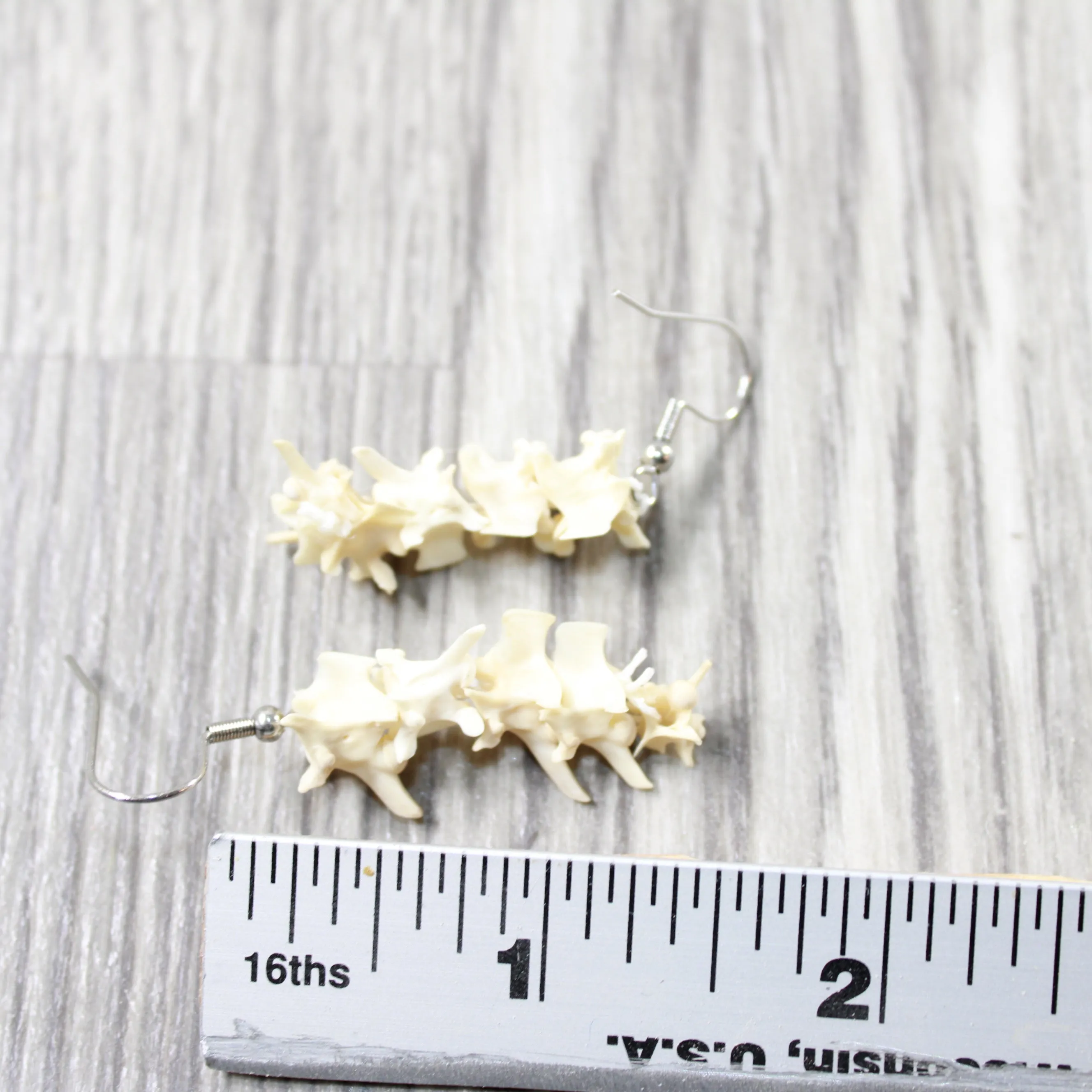 Rattlesnake Vertebrae Earrings  #474-2  Mountain Man Earrings