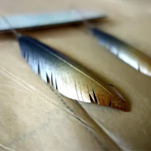 Upcycled Feather earrings - Spray Shine Singles
