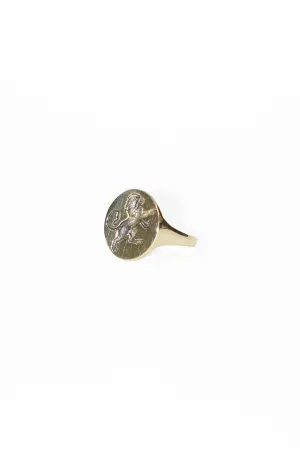 Zodiac Signet Ring in Brass